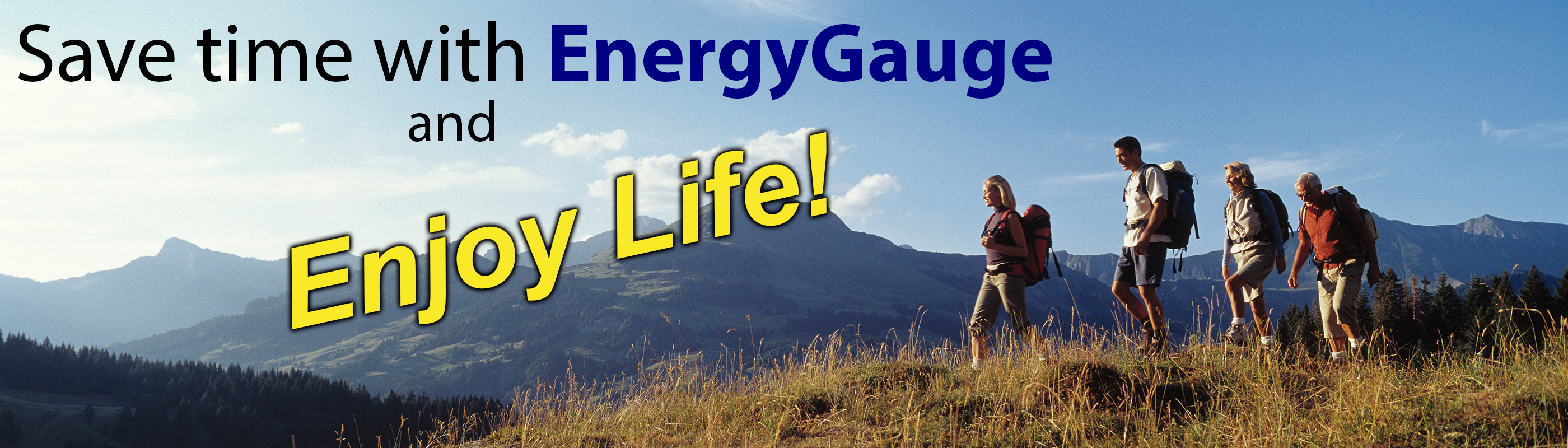 Save time with EnergyGauge